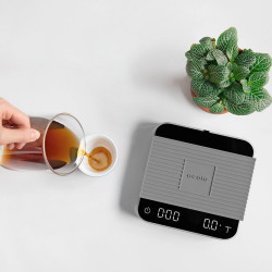 Acaia Nieuwe Parelwit