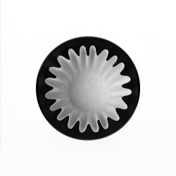 Varia FLO 55 – 21 GSM FAST-papieren filters, 100 stuks